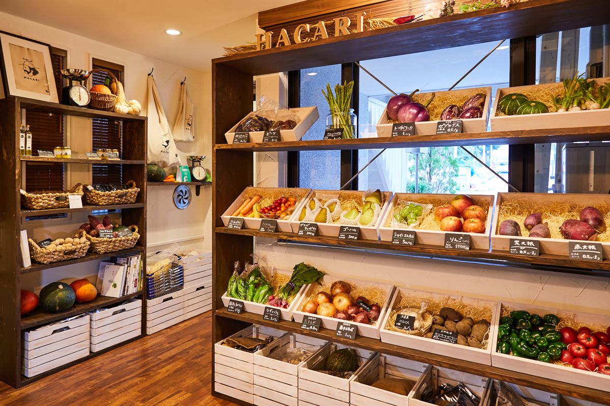 「HACARI」の店舗