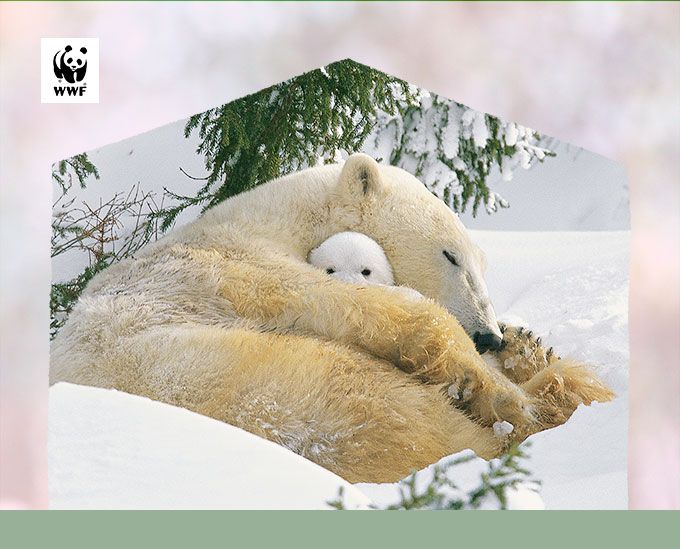 #おこもり力のビジュアル