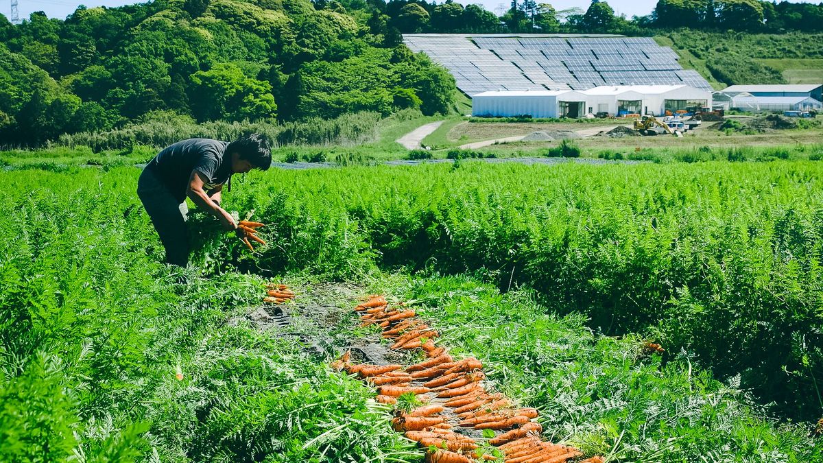 サステナブルファーム