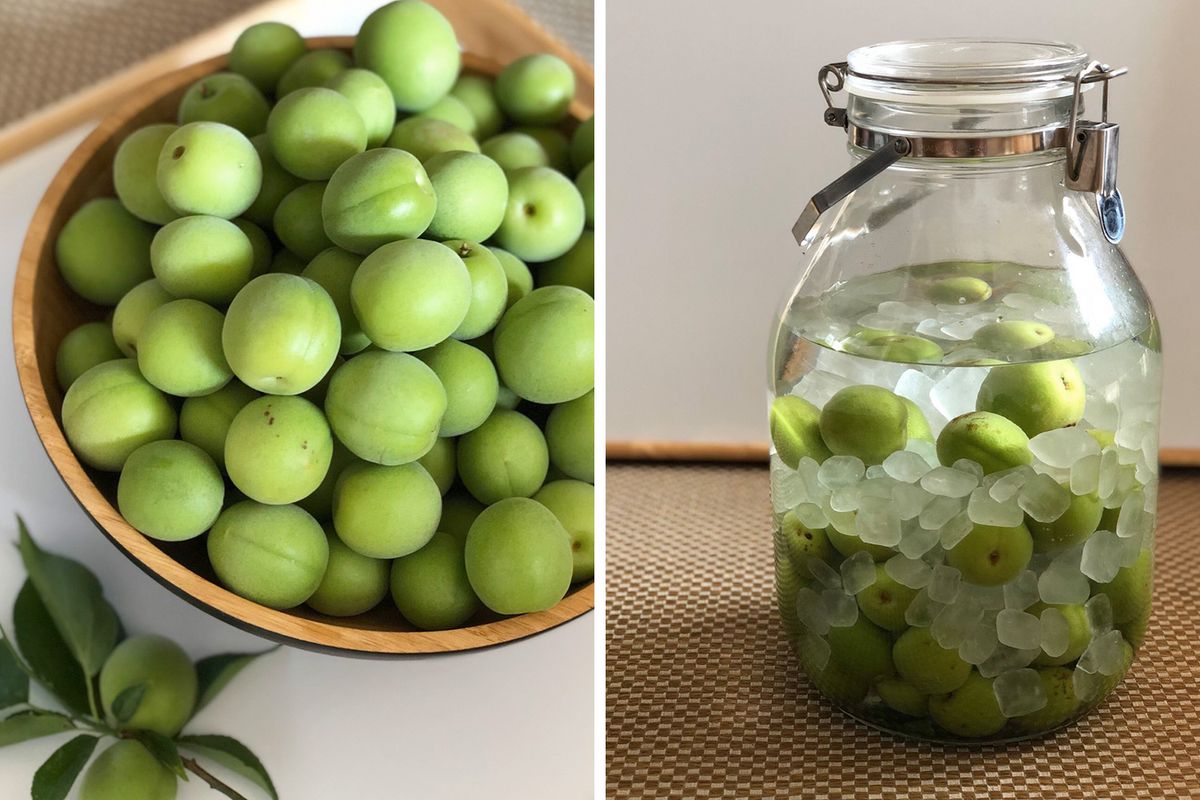 梅ジュースつくり