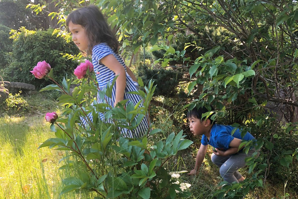 庭で遊ぶ子供たち