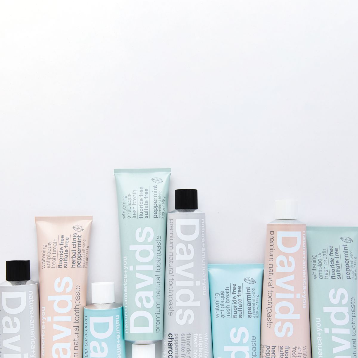 Davidsトゥースペースト全種
