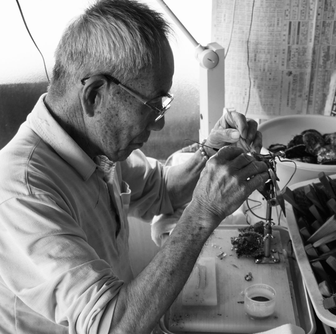 真珠養殖歴60年以上の職人