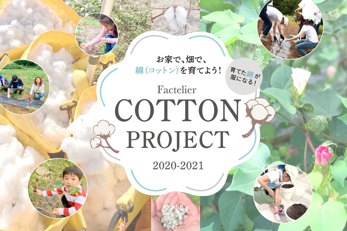 コットンプロジェクト