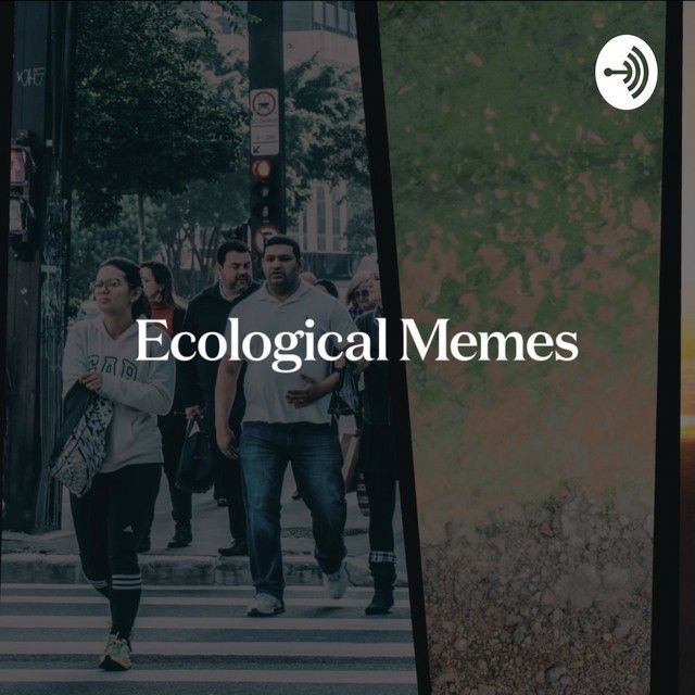 エコミームチャンネルジャケット画像