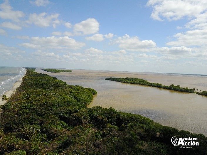 青空の下の自然