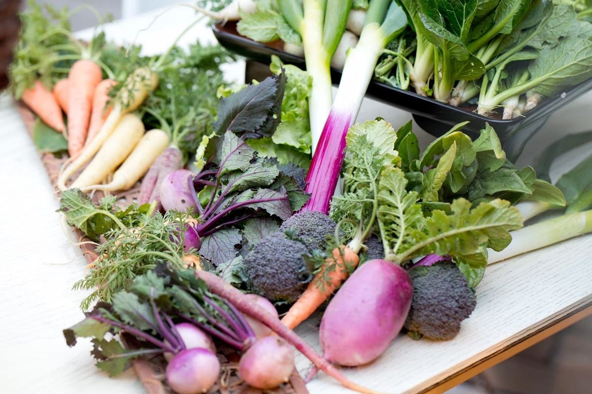 鎌倉野菜が並んだ写真