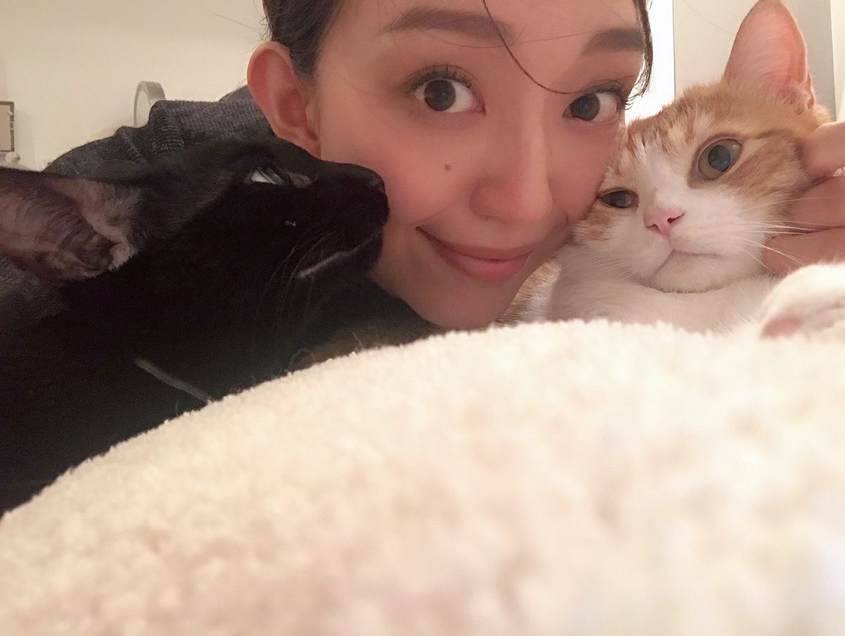 松島花と保護猫の写真①