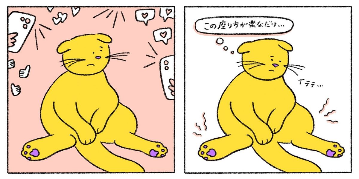 実は関節が痛スコティッシュフォールドのイラスト