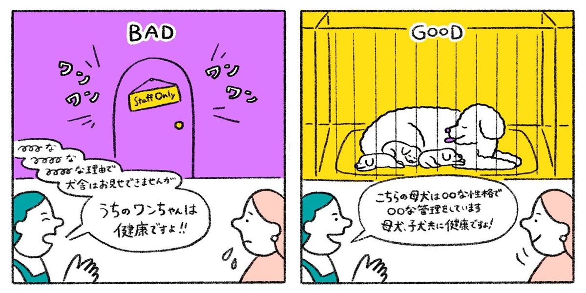 繁殖業者を訪問するイラスト