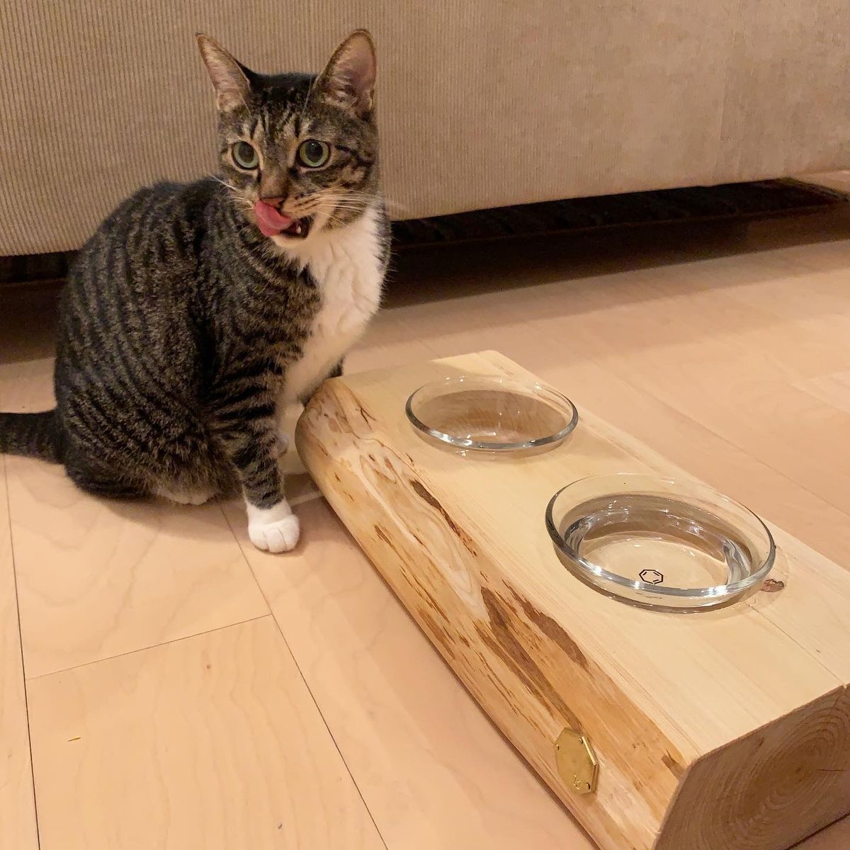 ペットテーブル / PET TABLE _ 2CUP