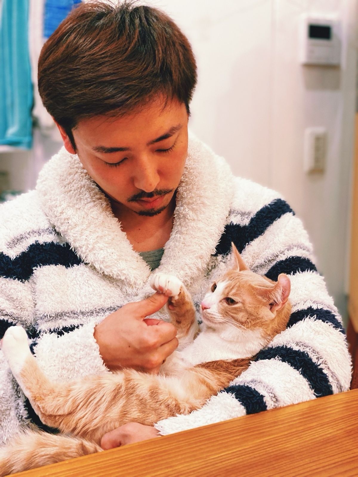 寺井幸也の飼うぬこ殿とわか様の画像④