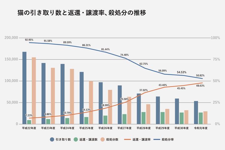 猫の殺処分はなぜ多いのか 犬よりも５倍近く処分されてしまうその理由 Eleminist エレミニスト