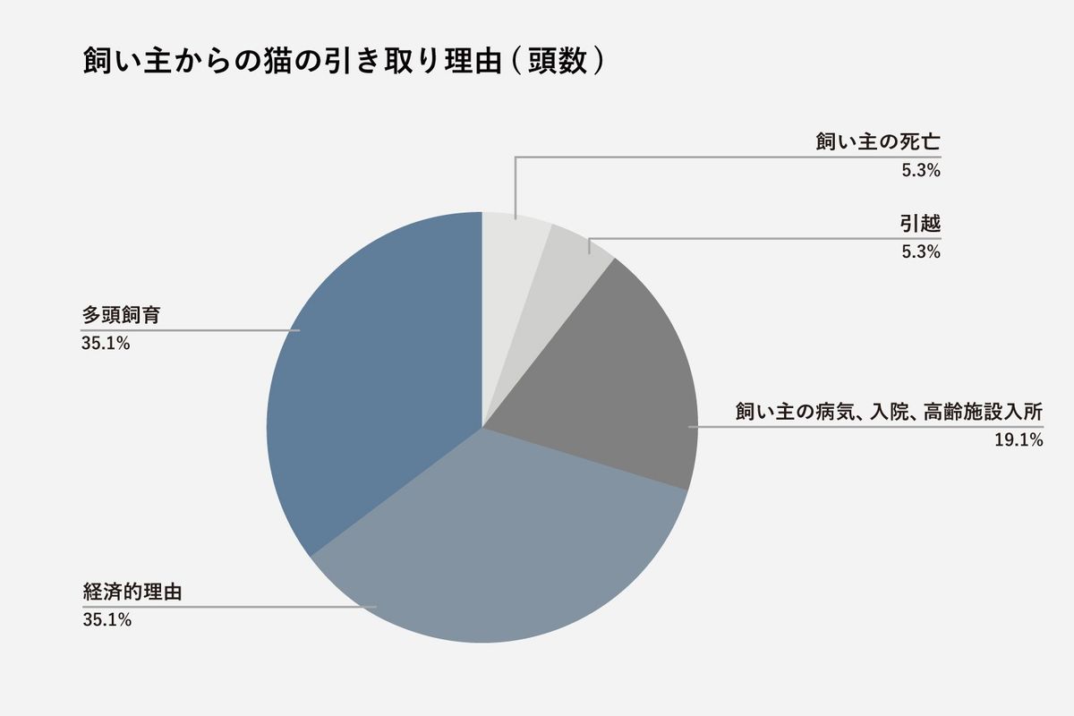 猫の引き取り理由