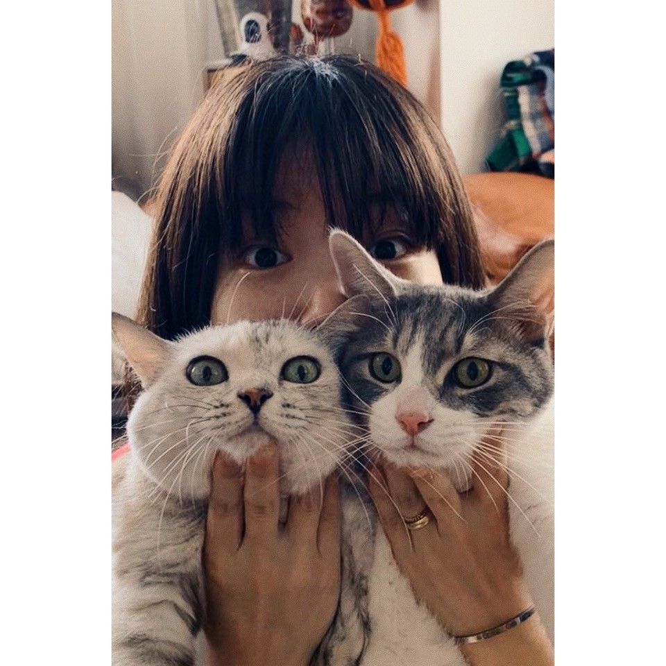 DEPTのeriが飼う保護猫の画像③