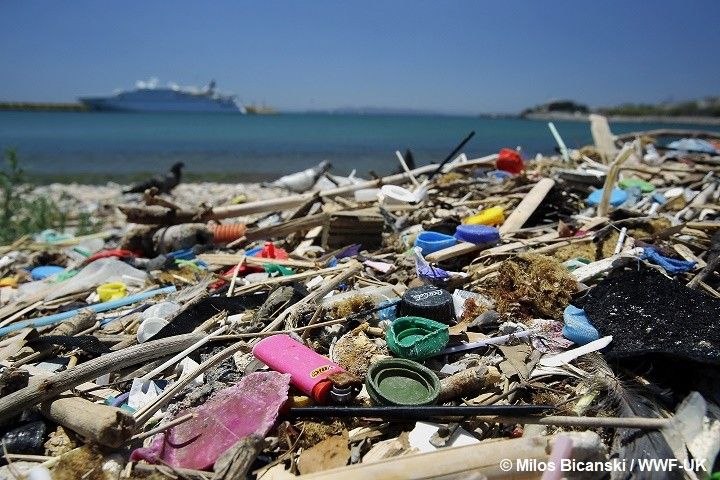海岸に散らばるプラスチックごみ