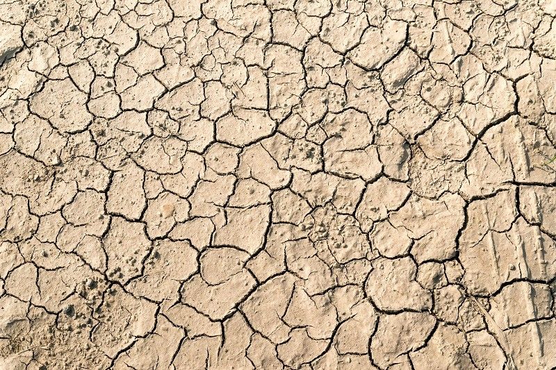 水ストレスに悩んでいる国