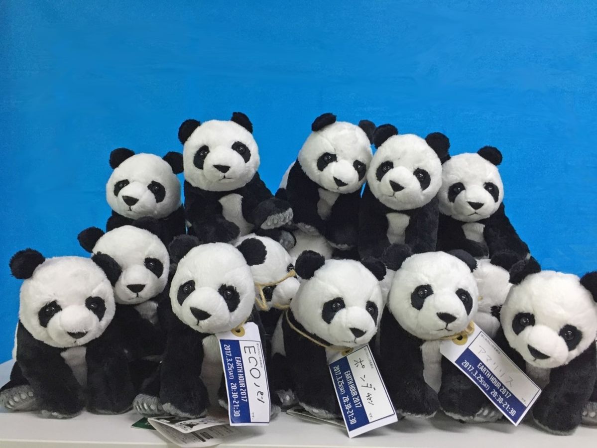 パンダのぬいぐるみたち