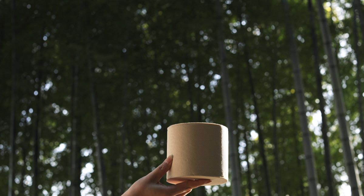 バンブーロールを持っている手