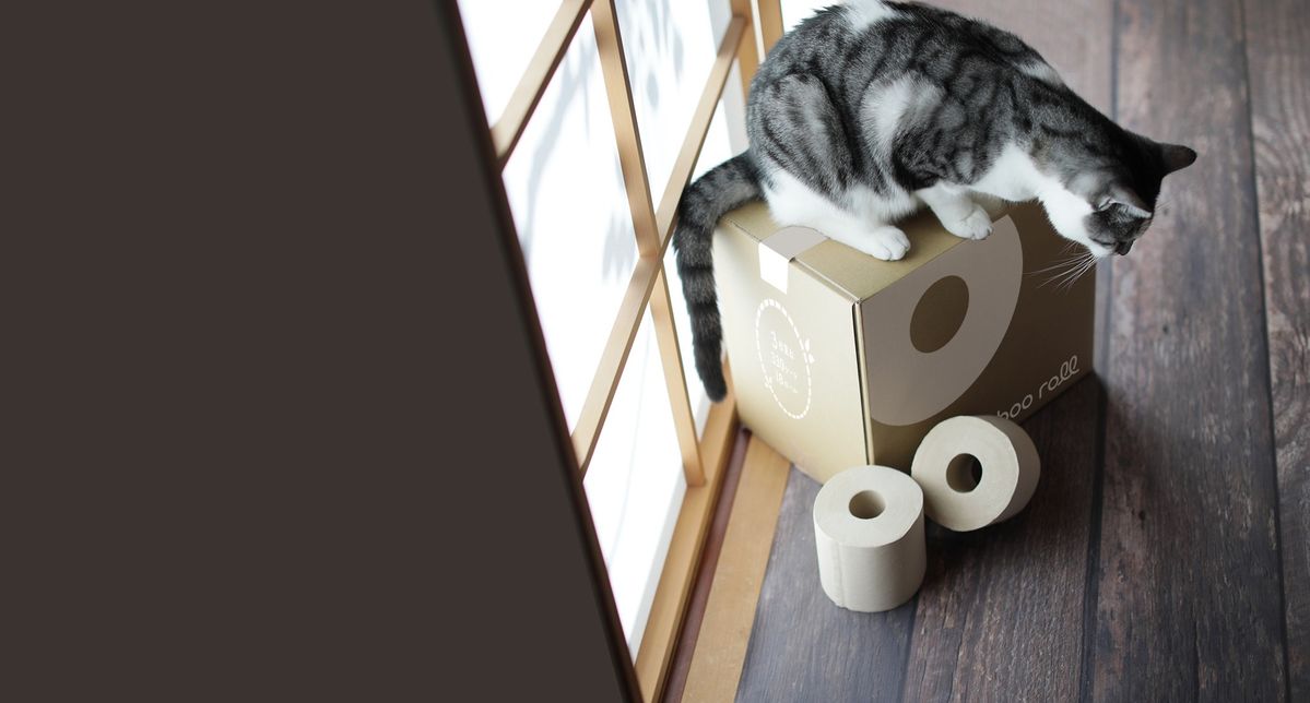 段ボールの上に乗った猫とバンブーロール