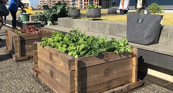 従来のコンポスト