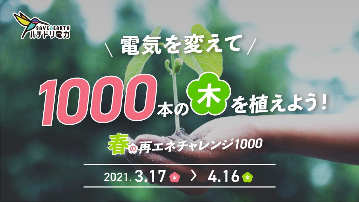 春の再エネチャレンジ1000のイメージビジュアル