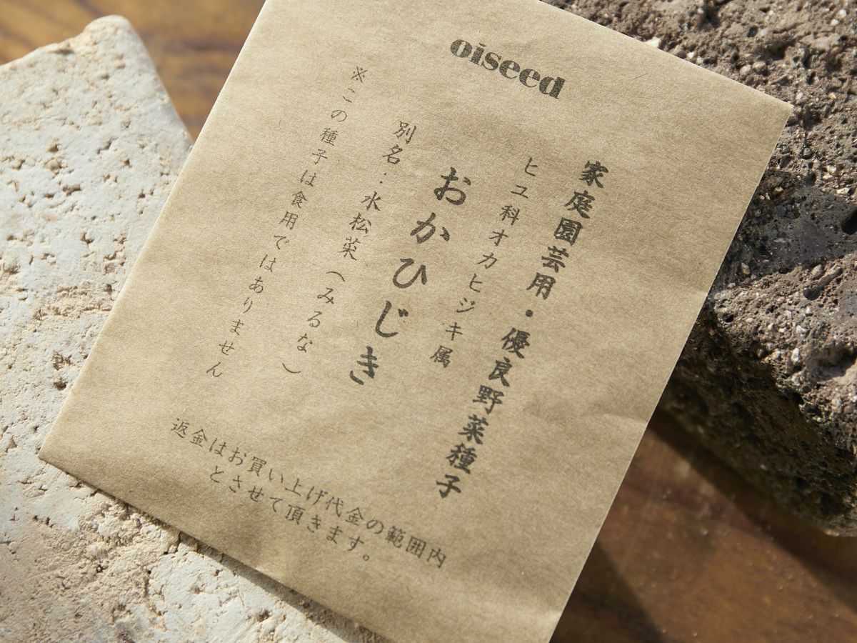 おかひじきの種