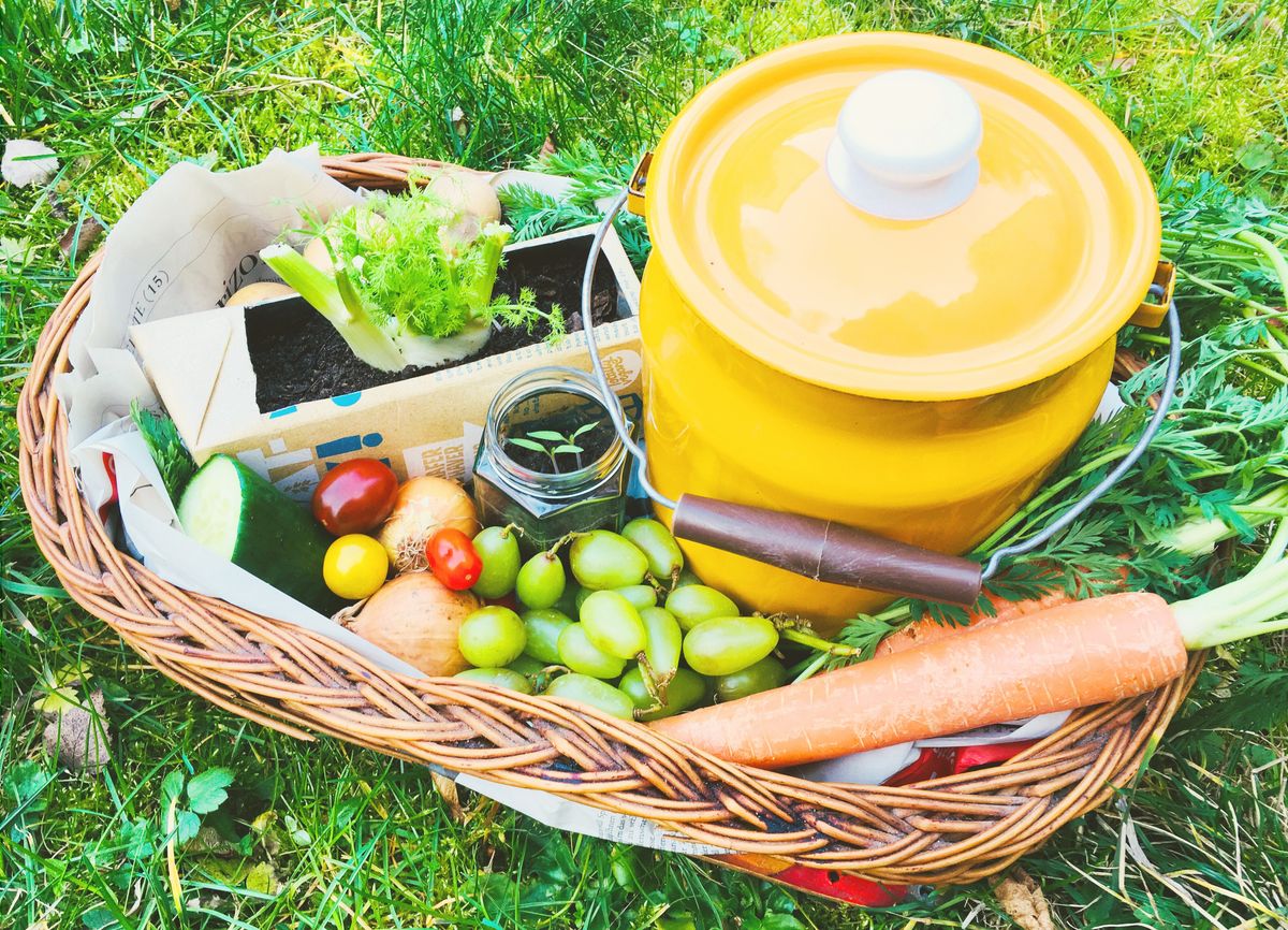 野菜とコンポストの土