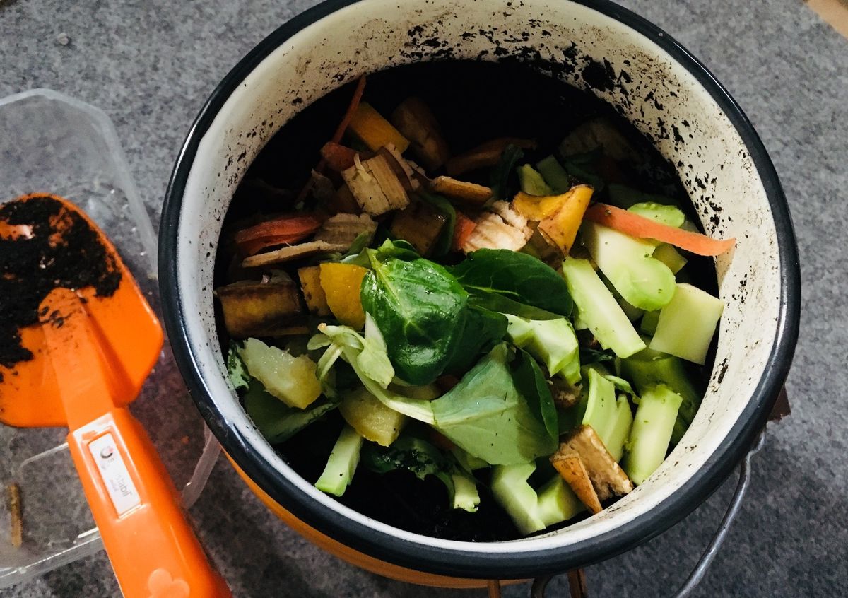 コンポストに入っている野菜の切りくず