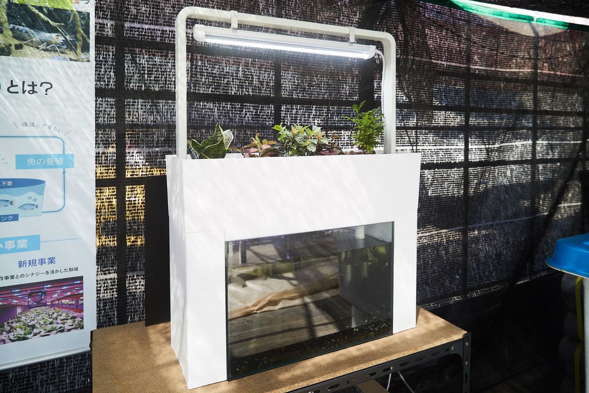 アクアスプラウトSV