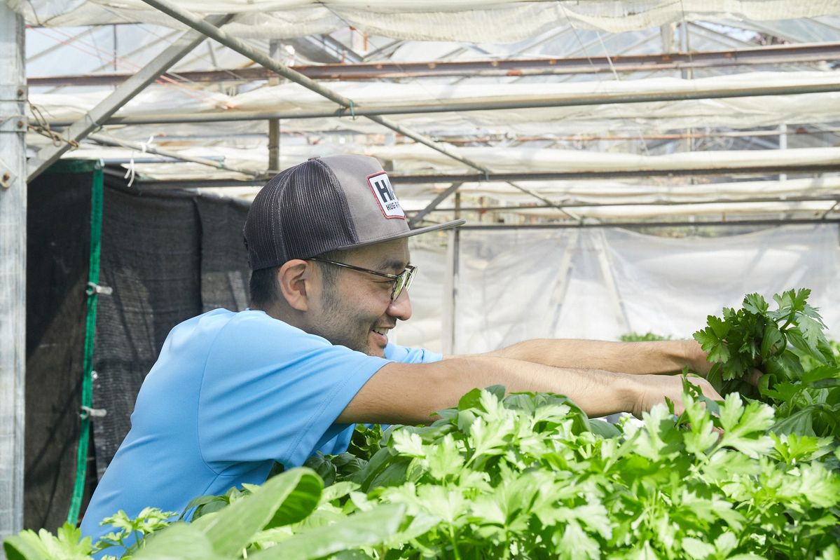 大きく育った野菜を収穫する濱田さん