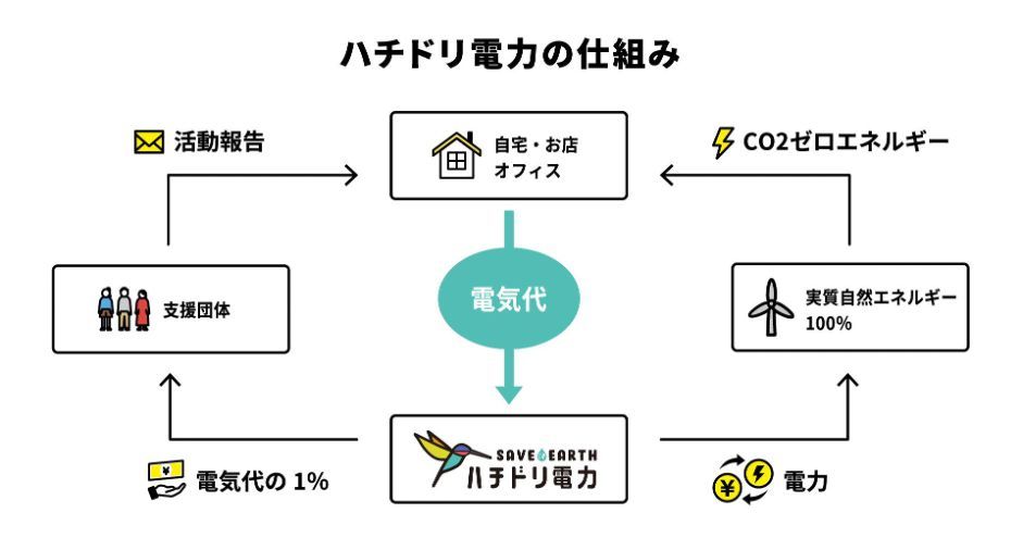 ハチドリ電力のしくみ