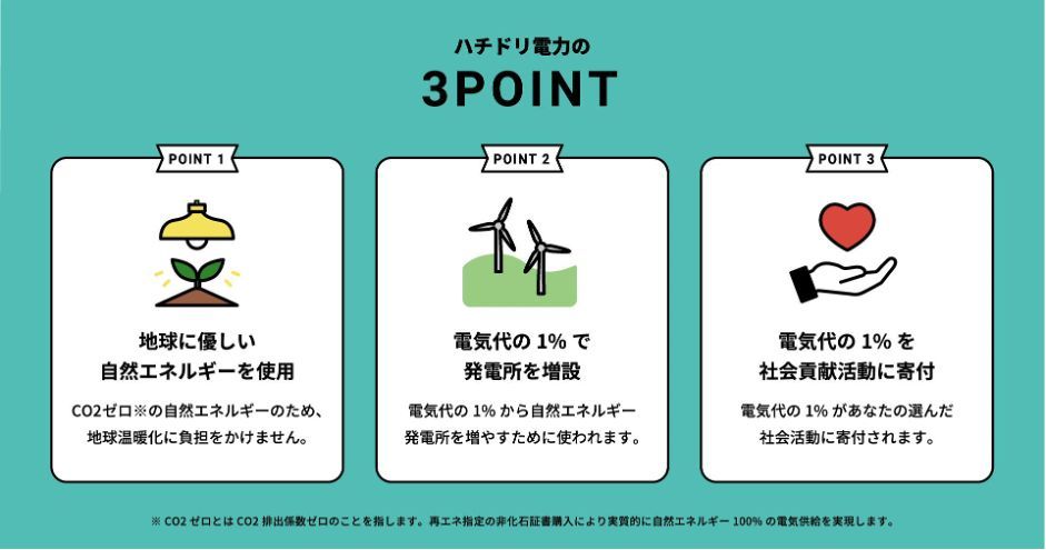 ハチドリ電力の魅力
