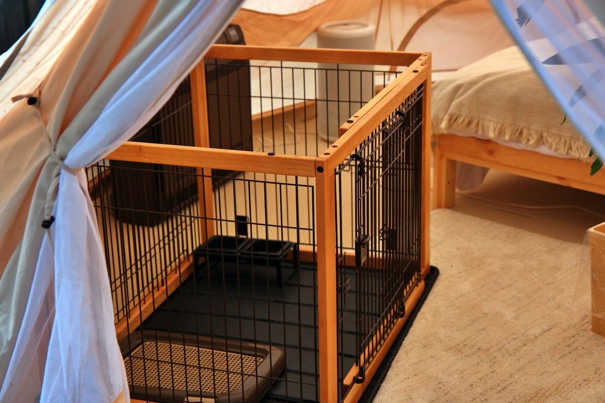 テント内にあるドッグケージ
