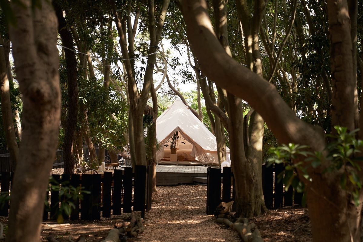 木々の向こうに見えるテント