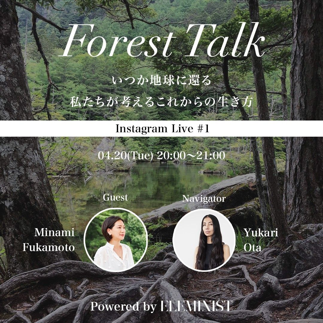 「Forest Talk」の詳細