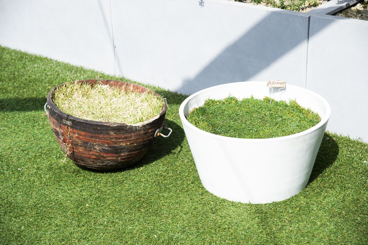 アーシングポット