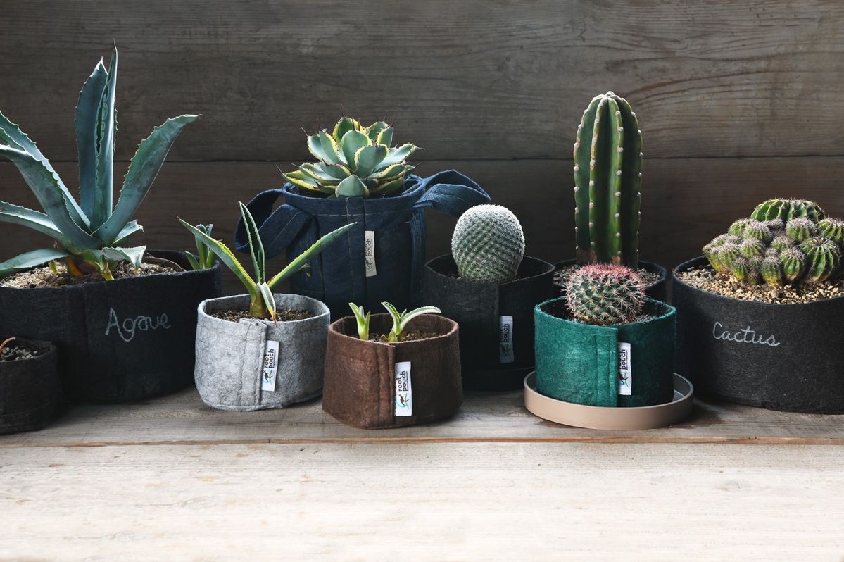 rootpouchイメージ