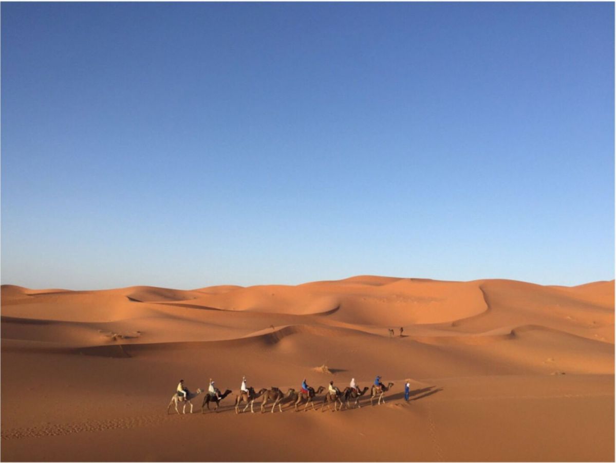 大田由香梨さんの画像②