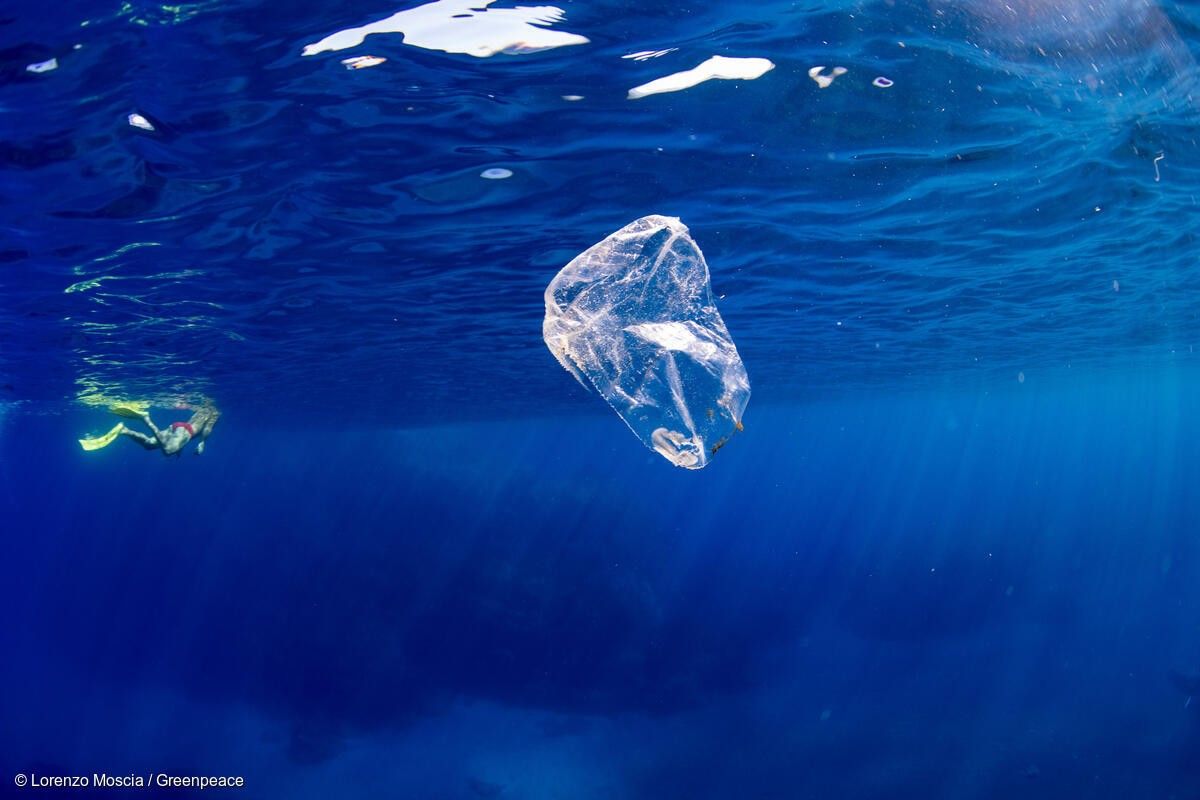 海に漂うビニール袋