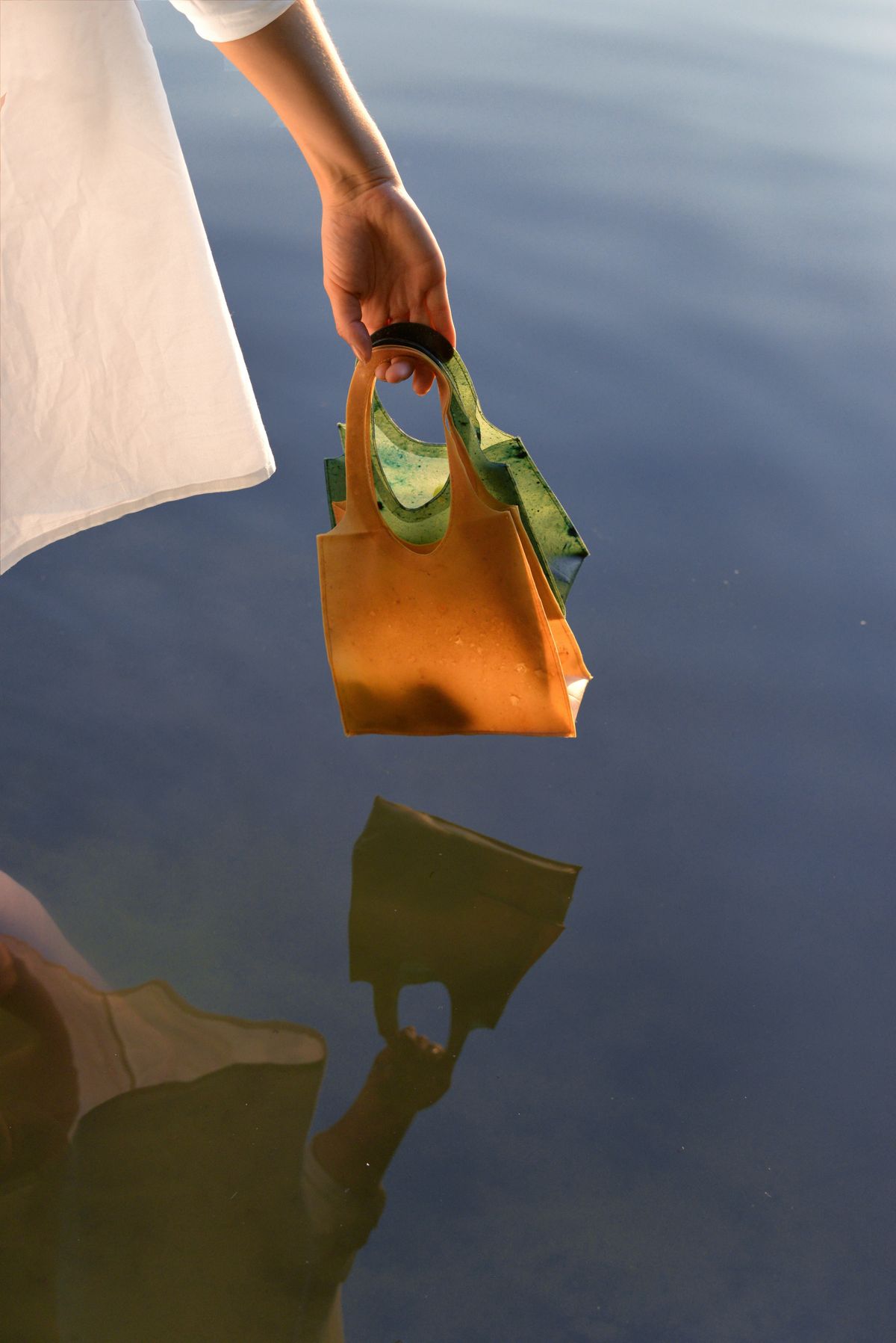 黄色と緑色の「Sonnet155」