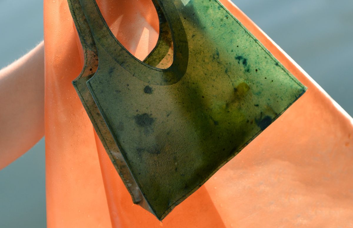 緑色の「Sonnet155」