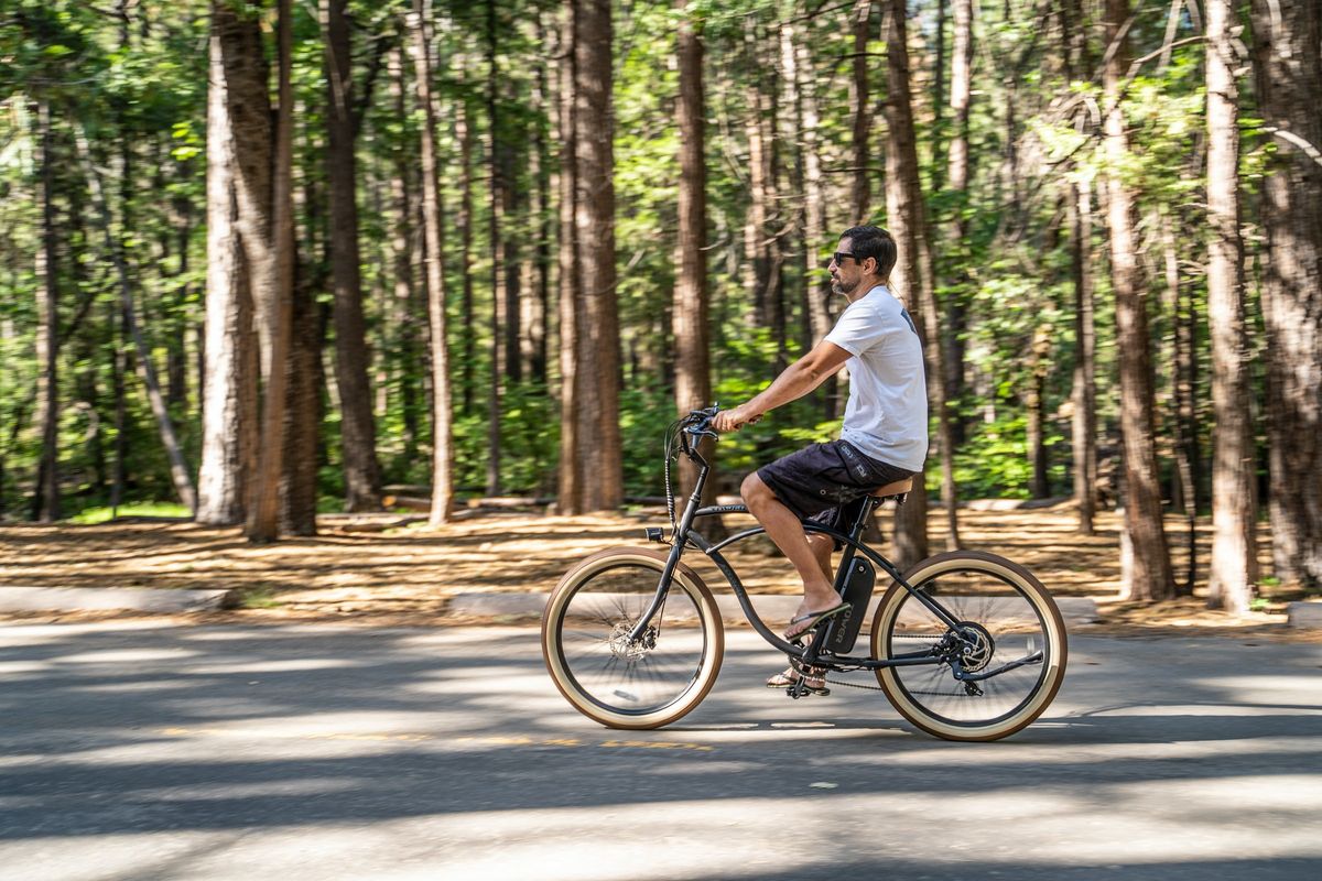 電気自転車で森林の中を走る男性
