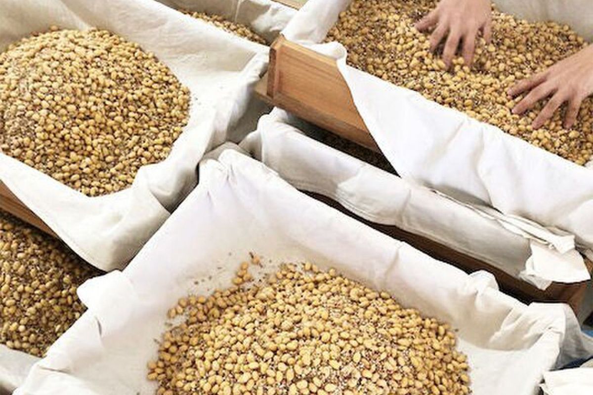 「今しぼり」の「育てる醤油」の画像③