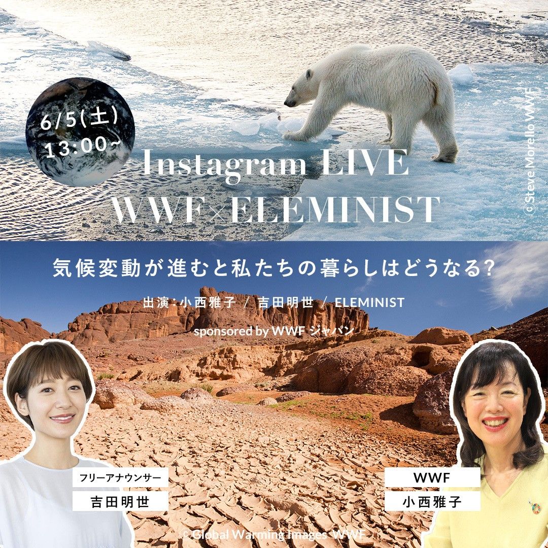 インスタライブ 告知画像