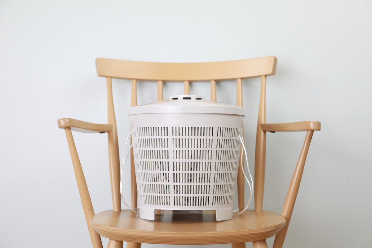 椅子に乗った生ごみカラット