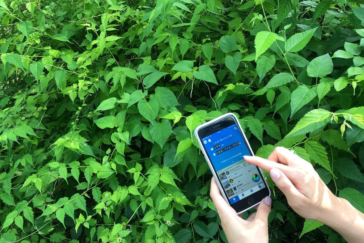 Pirika ピリカ wakana kawahata