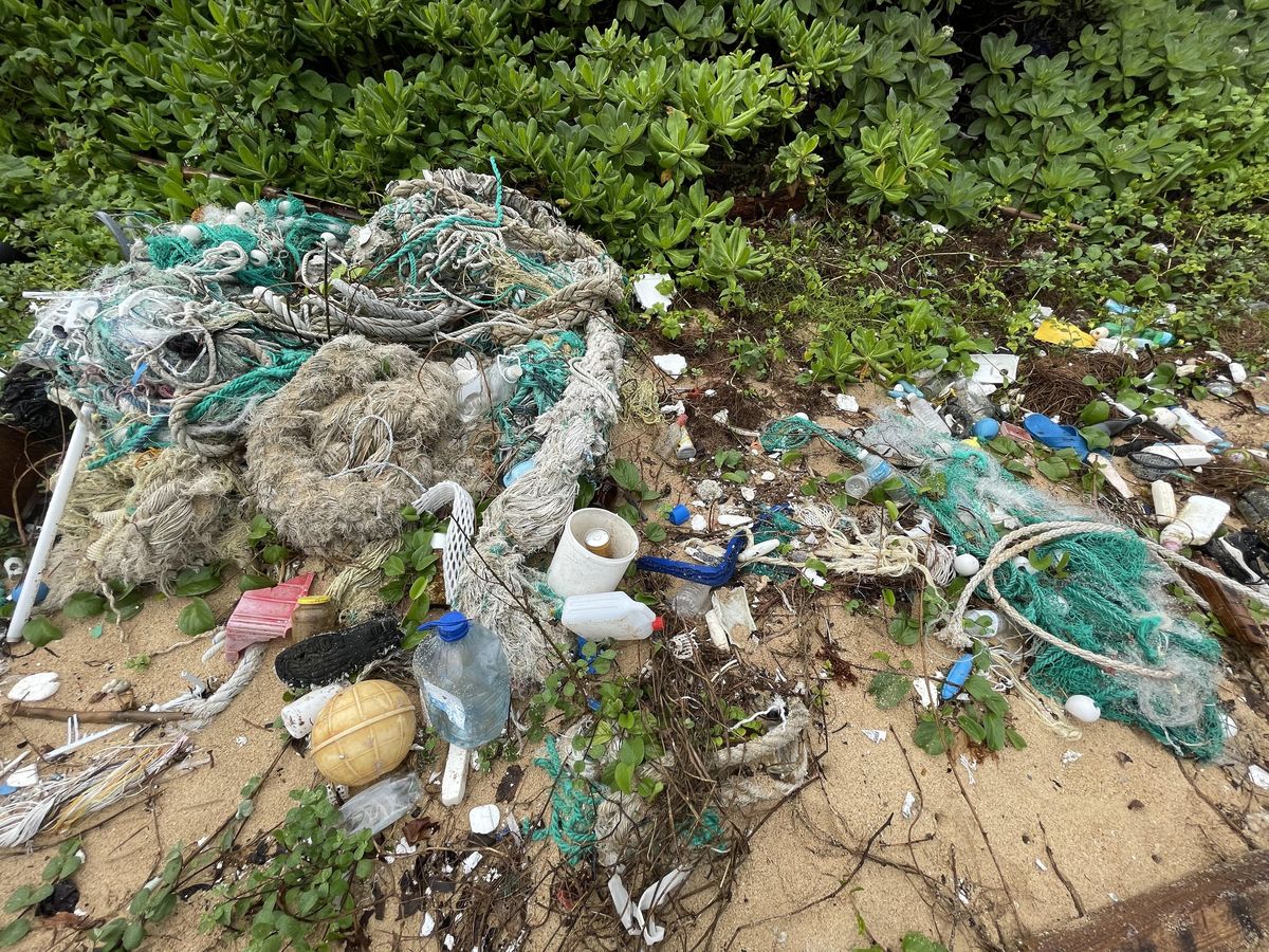 石垣島で参加したビーチグリーンの写真