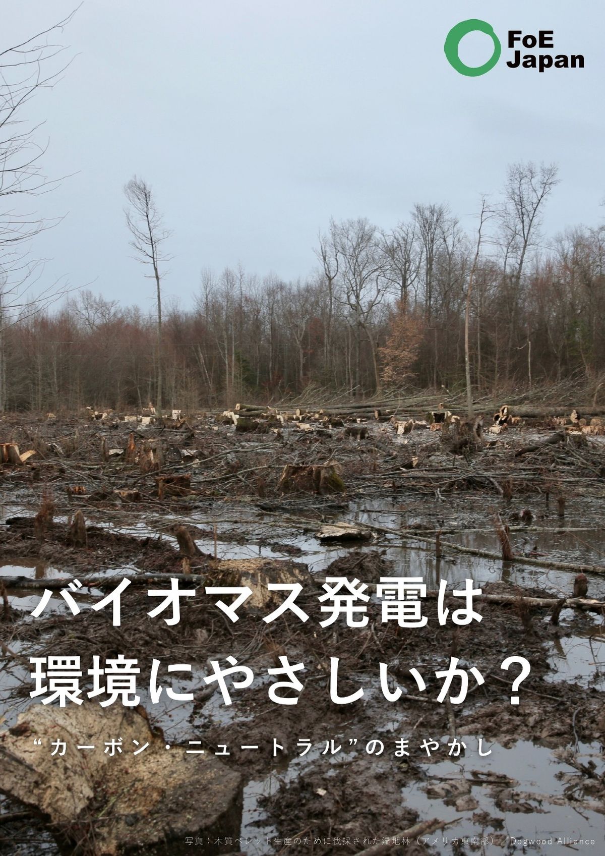 FoE Japanのレポート