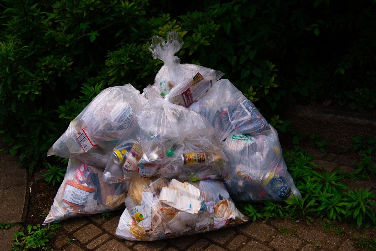 拾ったごみの山